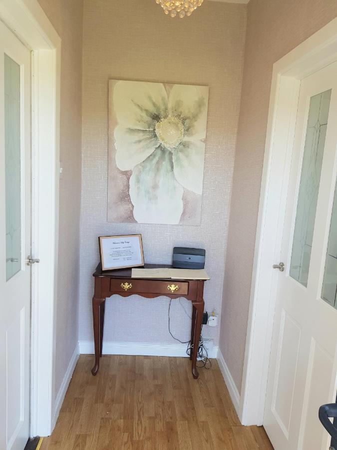 Holly Cottage Mayobridge 纽里 外观 照片