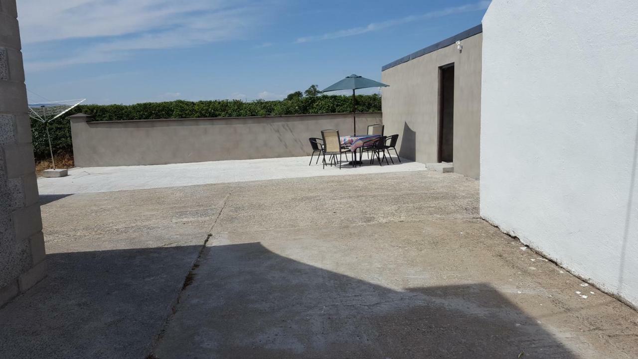 Holly Cottage Mayobridge 纽里 外观 照片