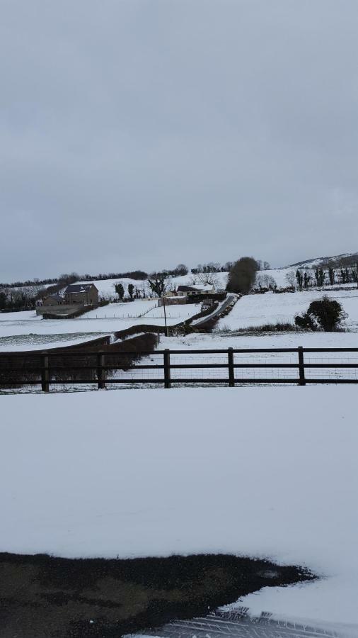 Holly Cottage Mayobridge 纽里 外观 照片