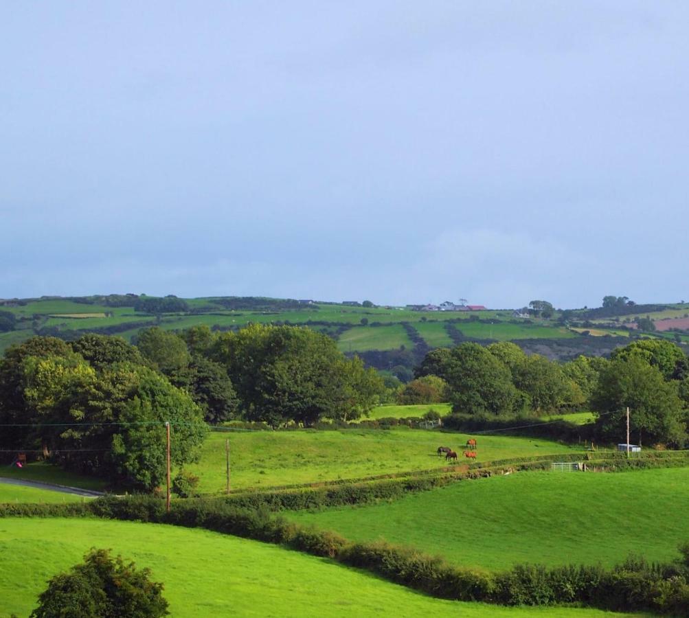 Holly Cottage Mayobridge 纽里 外观 照片